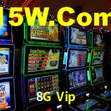 Bonus Features 8G Vip