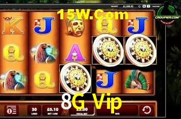 8G Vip